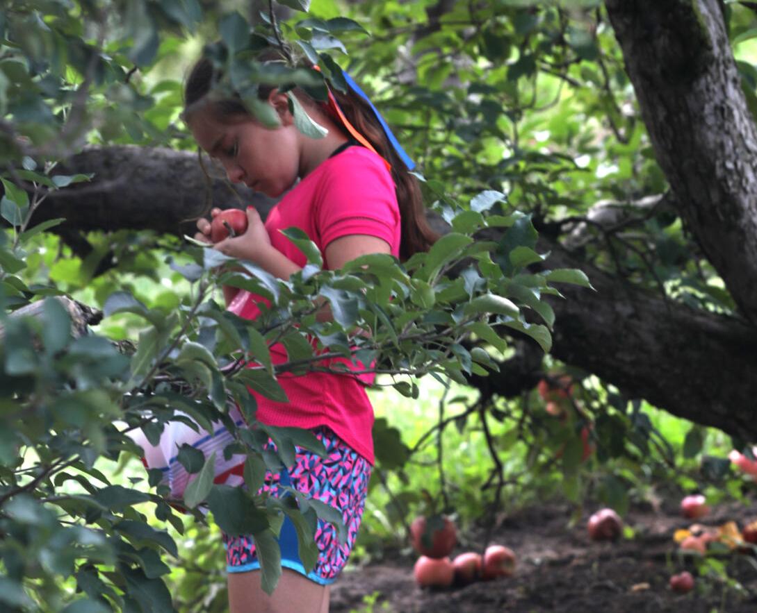 Amelia Lewis inspects an apple